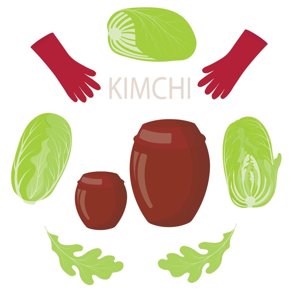 Chinakohl. Kimchi ist ein Gericht der koreanischen Küche. asiatisches Essen. scharf gewürztes eingelegtes, fermentiertes Gemüse. Vektorvorratillustration. vektor