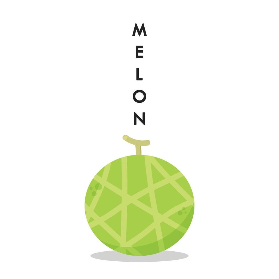 melon vektor. melon på vit bakgrund. tapet. logotyp design. vektor
