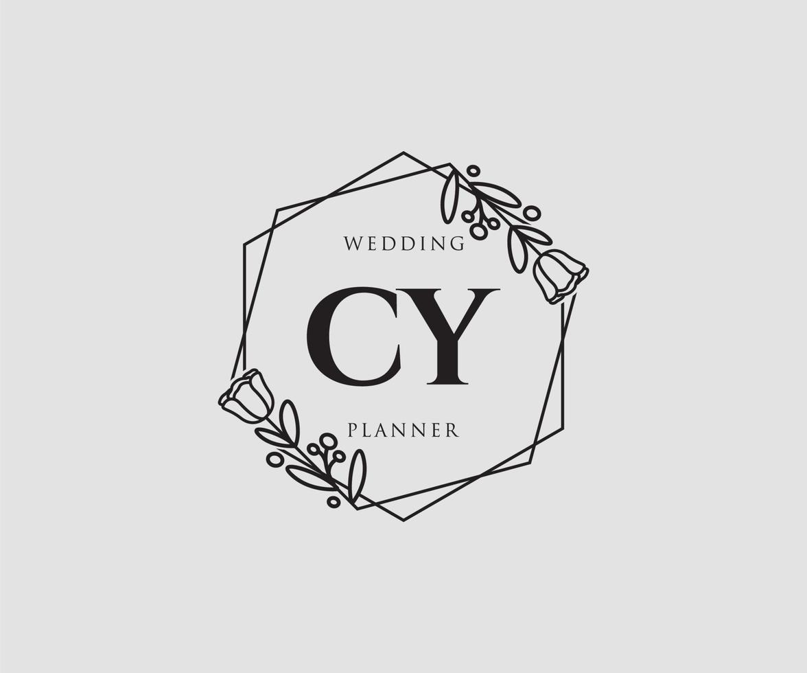 första cy feminin logotyp. användbar för natur, salong, spa, kosmetisk och skönhet logotyper. platt vektor logotyp design mall element.