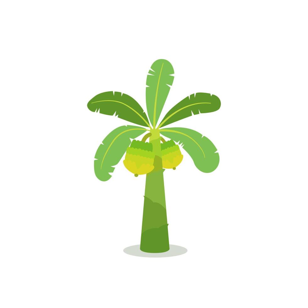 bananenbaum mit flacher vektorillustration der frucht tropisches baumkonzept vektor