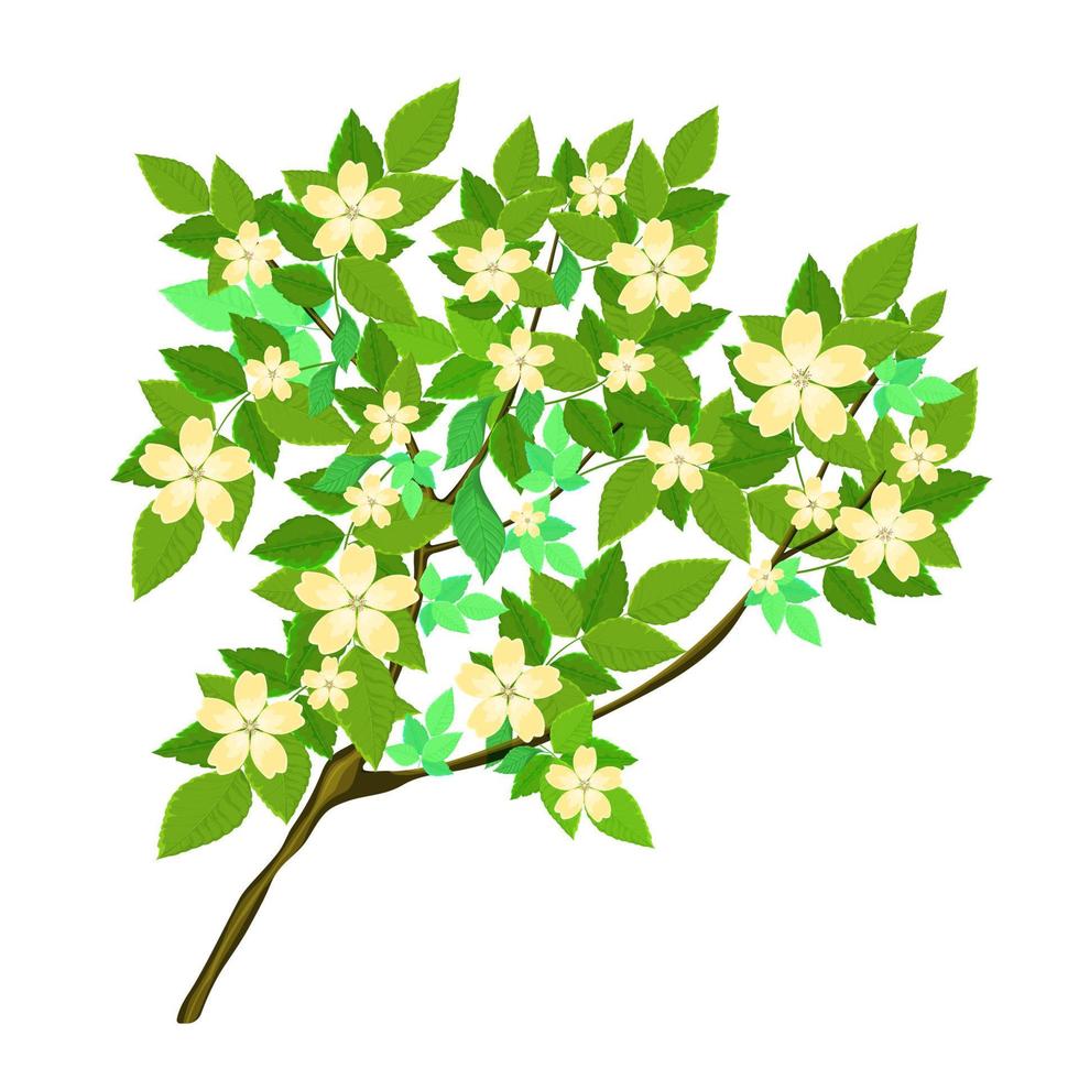 en träd gren med frodig grön lövverk och blommor vektor