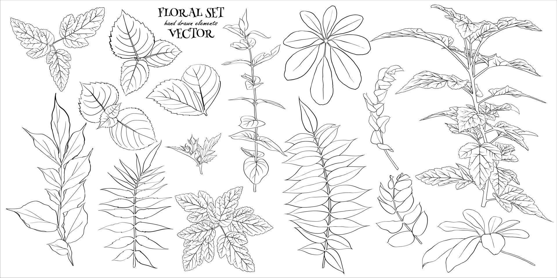 Vektorillustration - Blumenset Blätter und Zweige. handgemachte designelemente im skizzenstil. perfekt für einladungen, grußkarten, tattoos, drucke. vektor