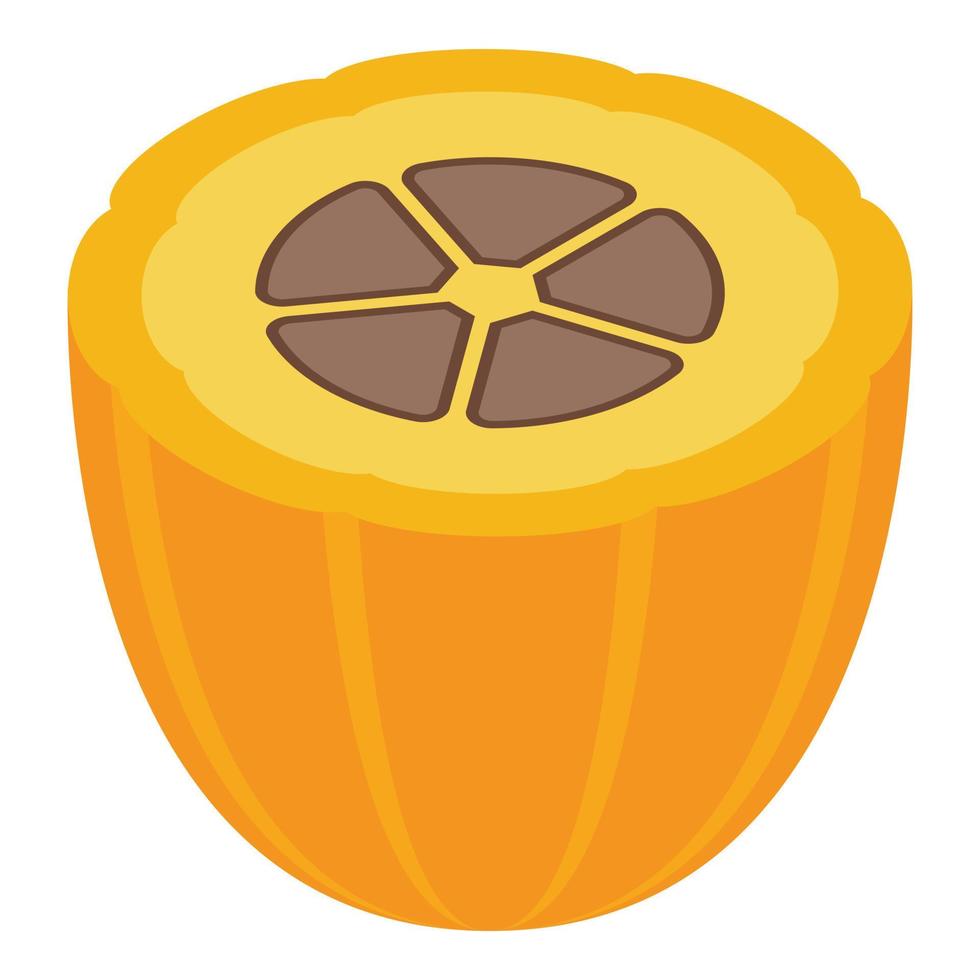Halbe Kakaofrucht-Ikone, isometrischer Stil vektor