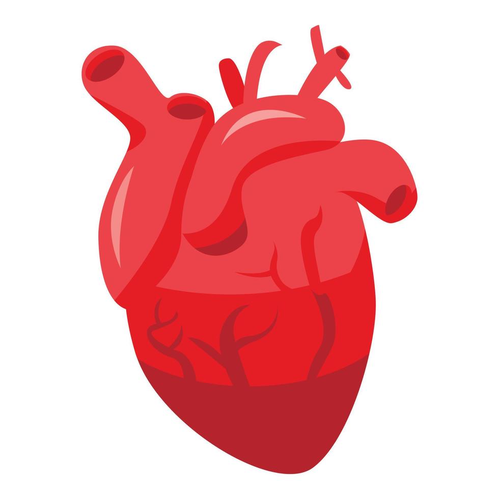 Symbol für gesundes menschliches Herz, isometrischer Stil vektor