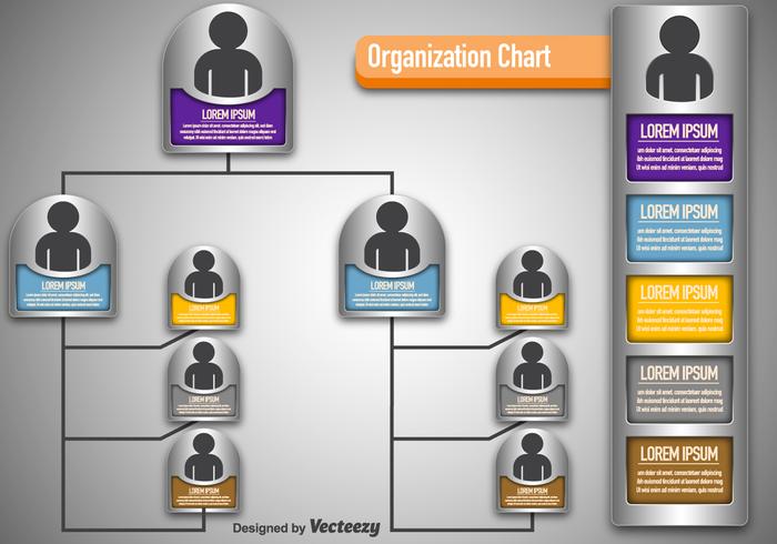 Vector Modern Organisation Chart