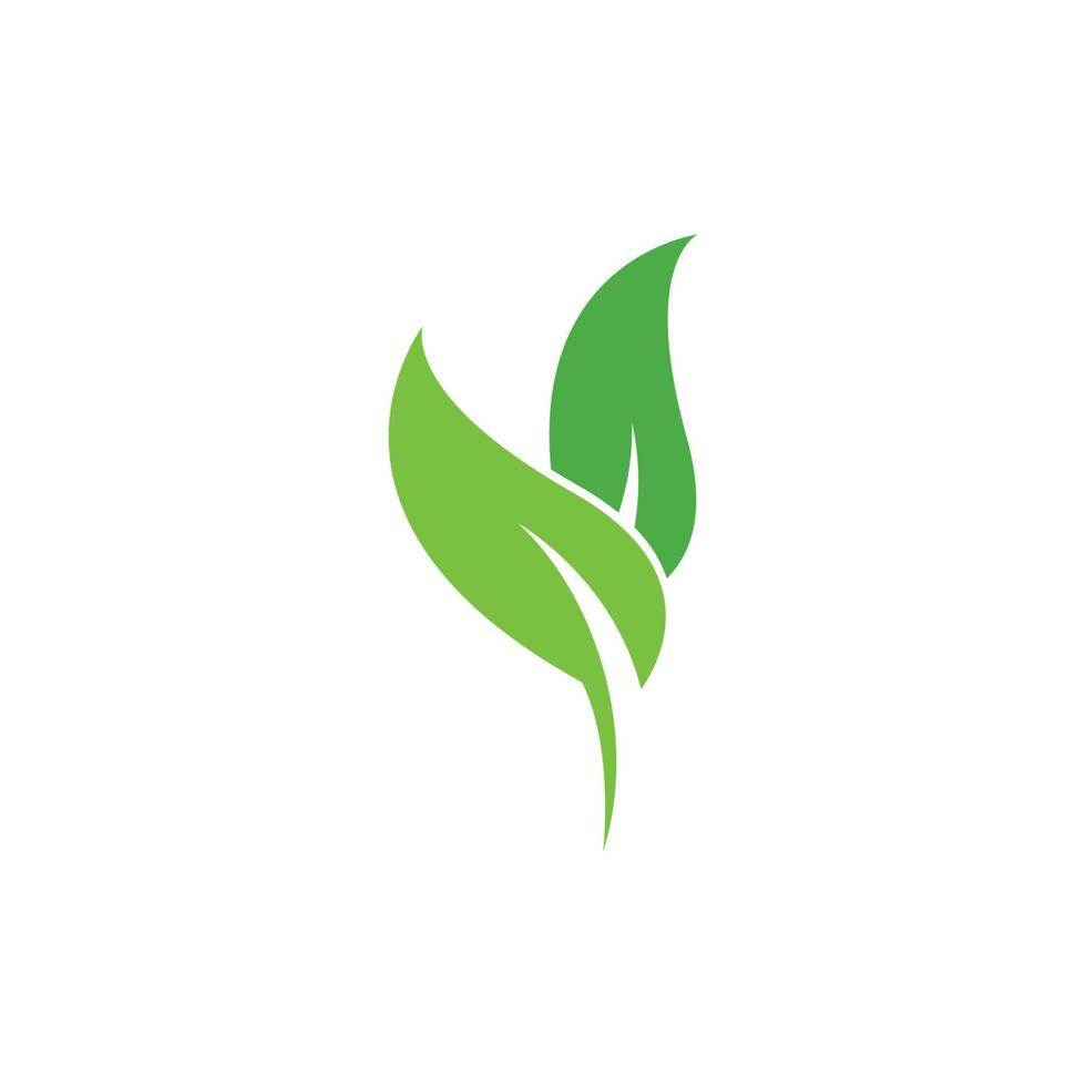 Öko-Baum-Blatt-Logo-Vorlage vektor