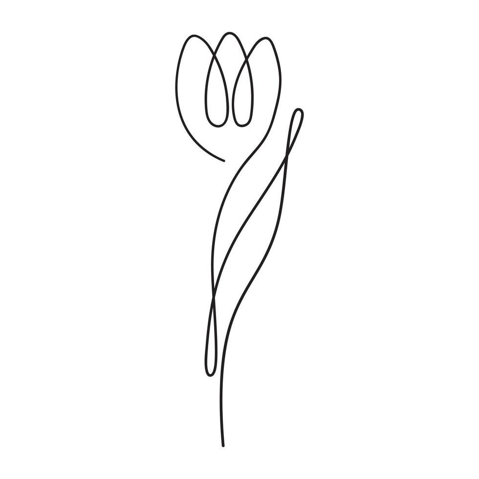 einzeilige minimalistische tulpenblumenvektorlinie kunstabbildung vektor