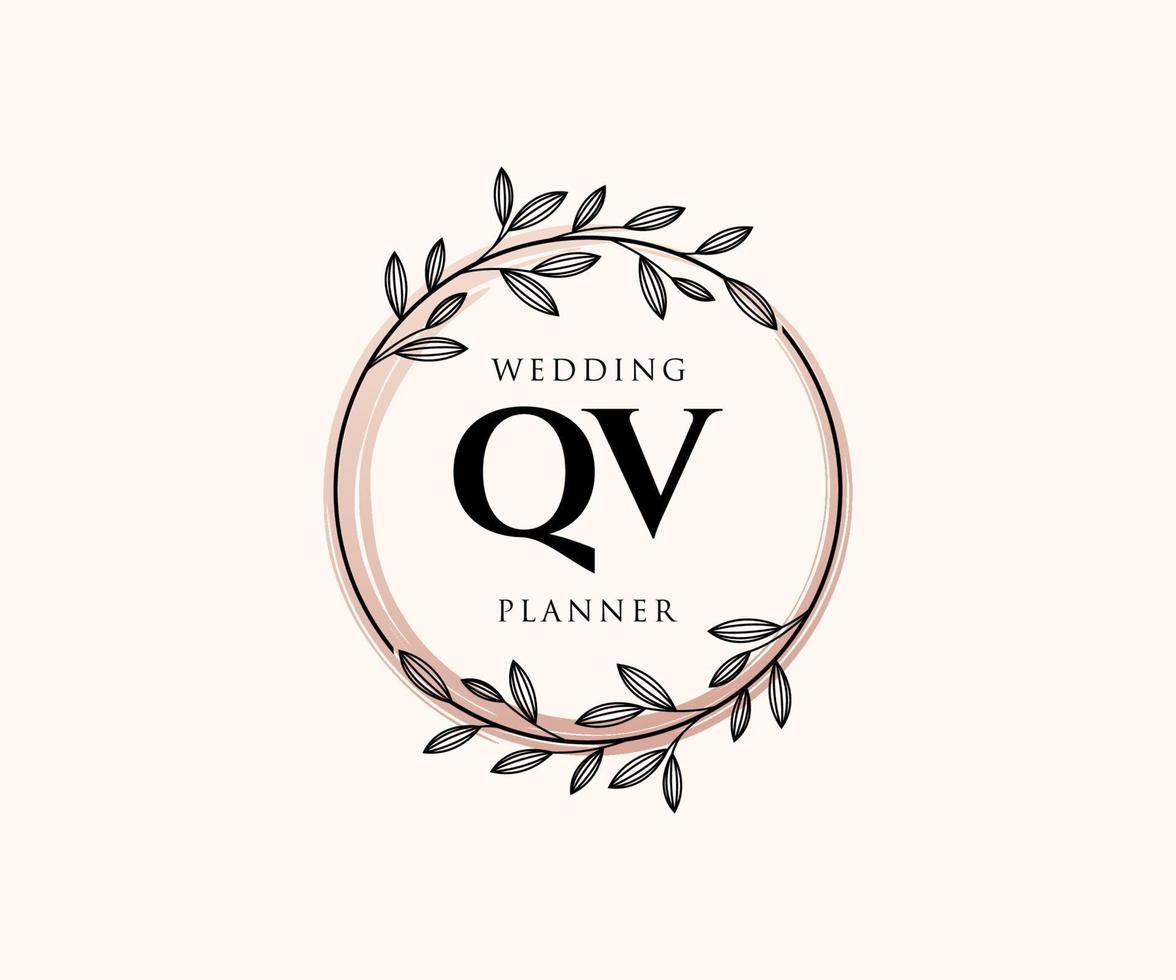 qv initialen brief hochzeit monogramm logos sammlung, handgezeichnete moderne minimalistische und florale vorlagen für einladungskarten, save the date, elegante identität für restaurant, boutique, café im vektor