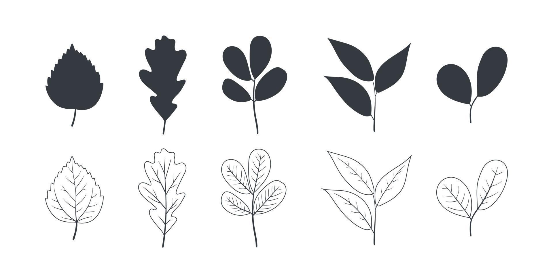 löv ikon. löv silhuett. träd löv av annorlunda typer i höst och sommar. vektor illustration