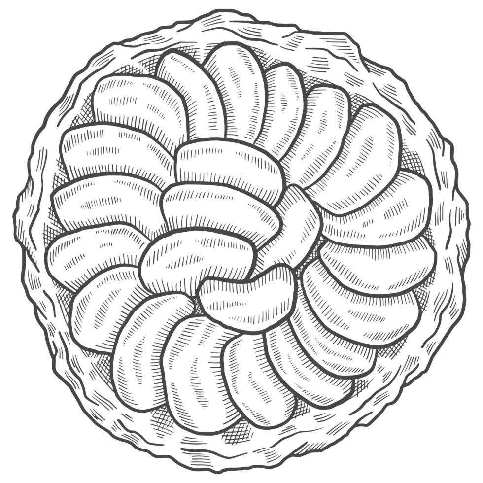 tarte tatin Frankrike efterrätt mellanmål isolerat klotter hand dragen skiss med översikt stil vektor illustration