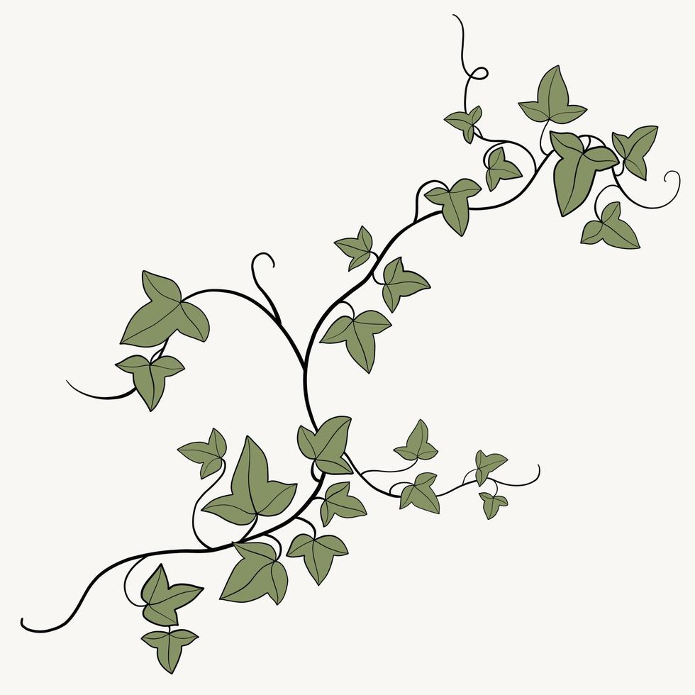 blommig murgröna teckning dekorativ prydnad platt design. vektor
