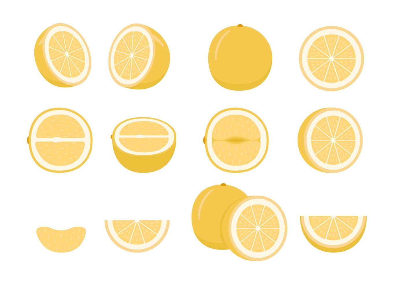 uppsättning av mogen frukt pomelo - hela, skära halv, bit och skiva hackad. färsk sur tropisk exotisk citrus- frukt med vitaminer. pummelo eller shaddock. vektor illustration