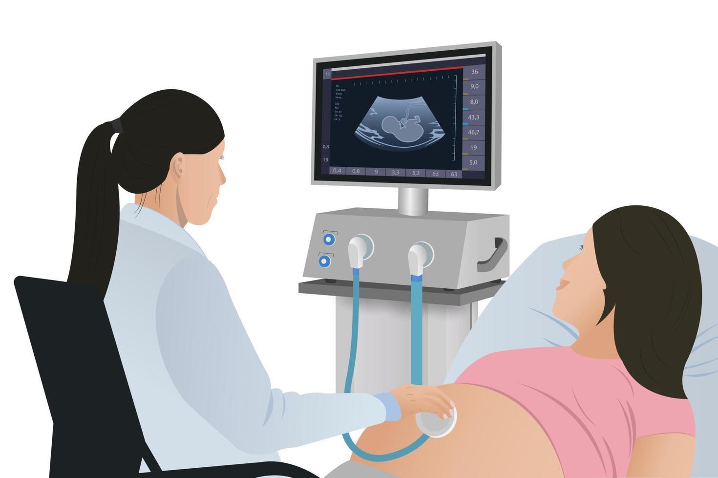 gravid kvinna på ultraljud. granskning en läkare och övervakning de hälsa av en patient använder sig av ett ultraljud avbildning enhet. graviditet vård vektor