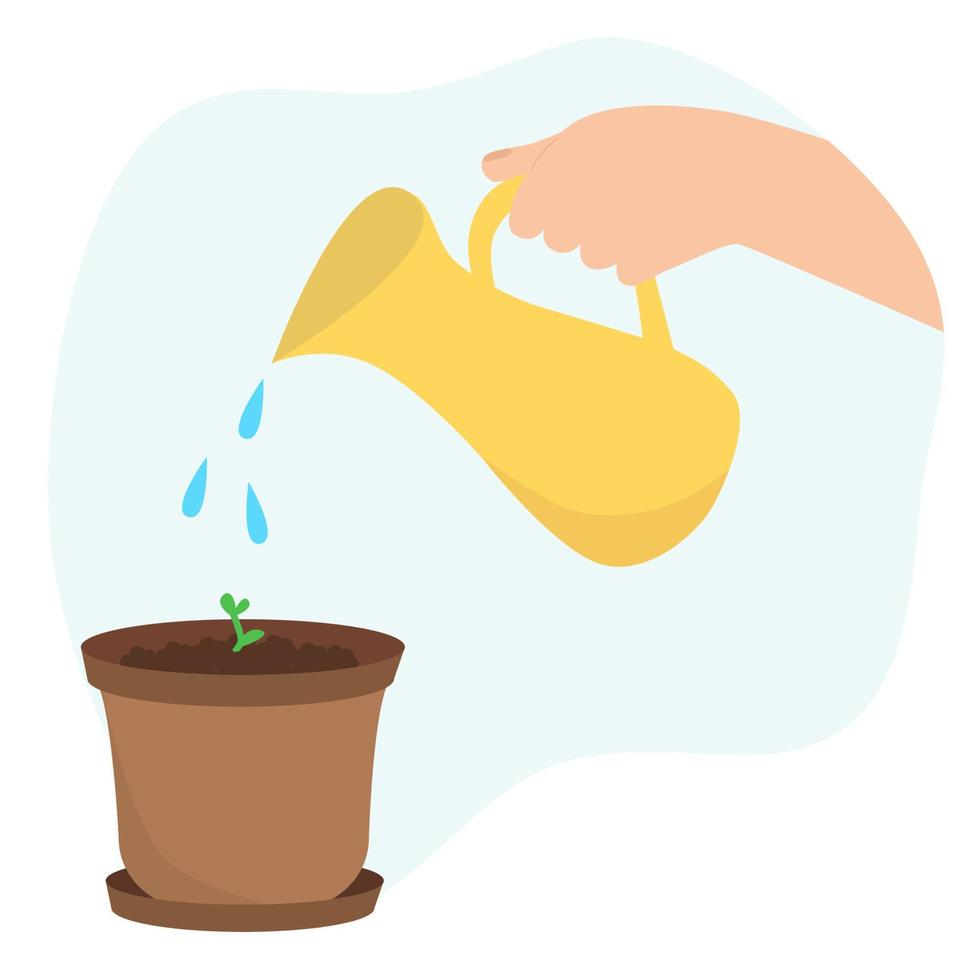 hand är vattning gro i pott. kanna med droppar av vatten. vektor illustration av ung växt.