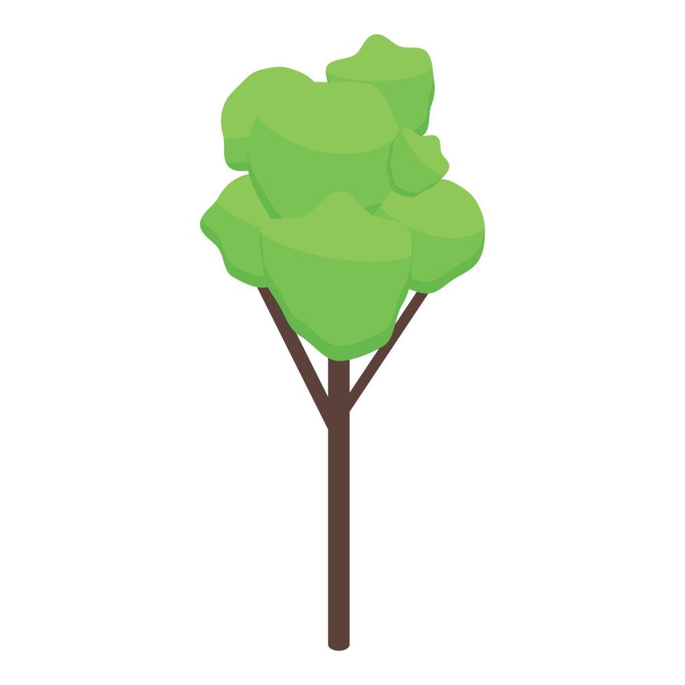 parkera träd ikon, isometrisk stil vektor