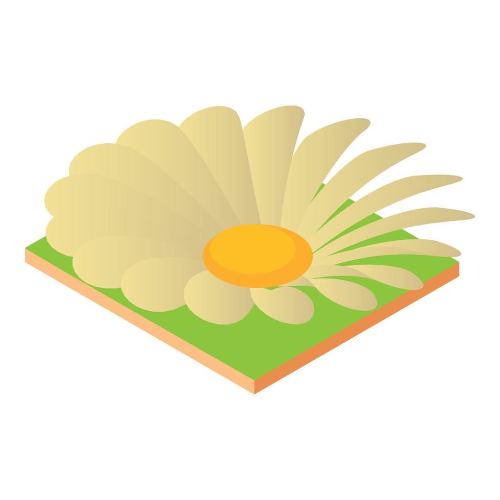 Kamille-Blumen-Symbol, isometrischer Stil vektor