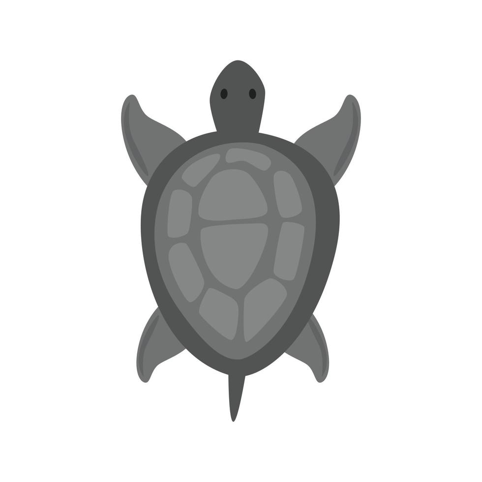 sällskapsdjur sköldpadda platt gråskale ikon vektor