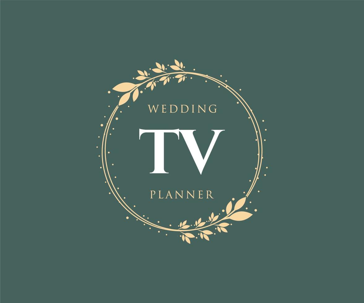 tv initialen brief hochzeit monogramm logos sammlung, handgezeichnete moderne minimalistische und florale vorlagen für einladungskarten, save the date, elegante identität für restaurant, boutique, café im vektor