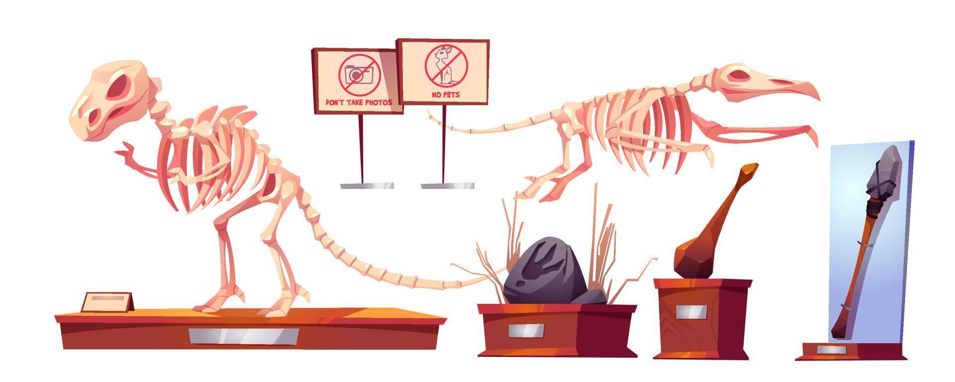 dinosaurie fossiler i historia museum dino skelett vektor