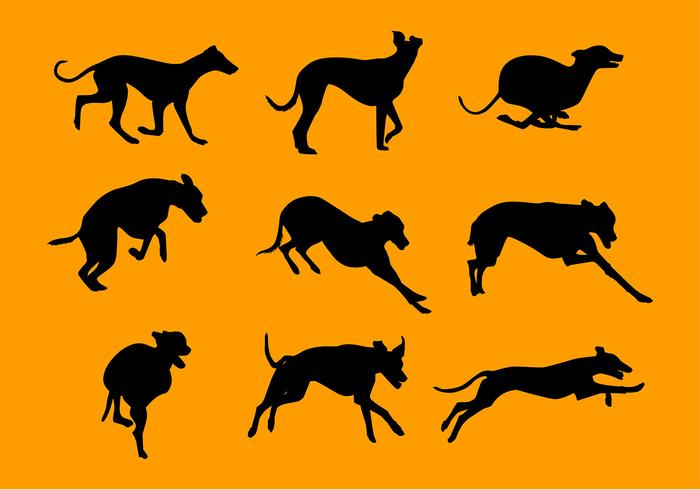 Whippet Silhouette Set Gratis Vector