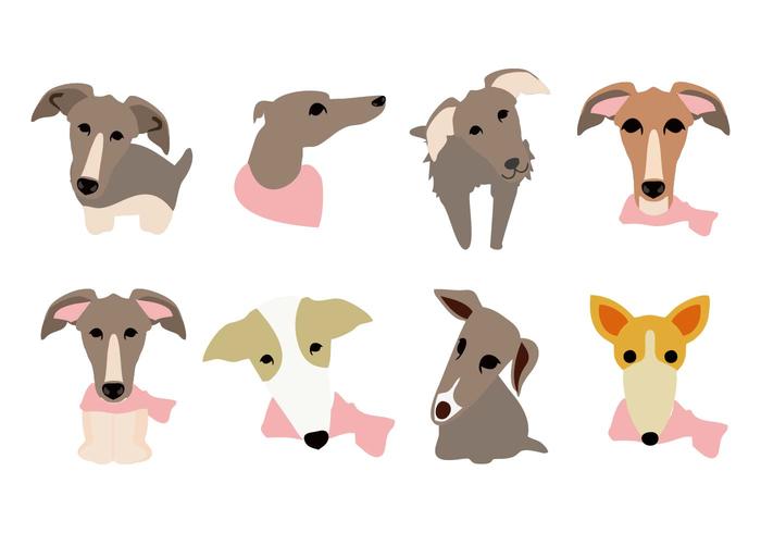 Gratis Whippet Dog Face Ikoner Vector