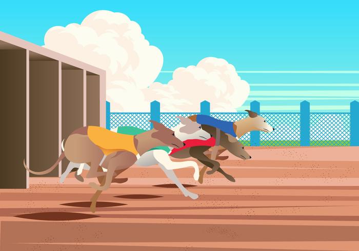 Vektor whippet race