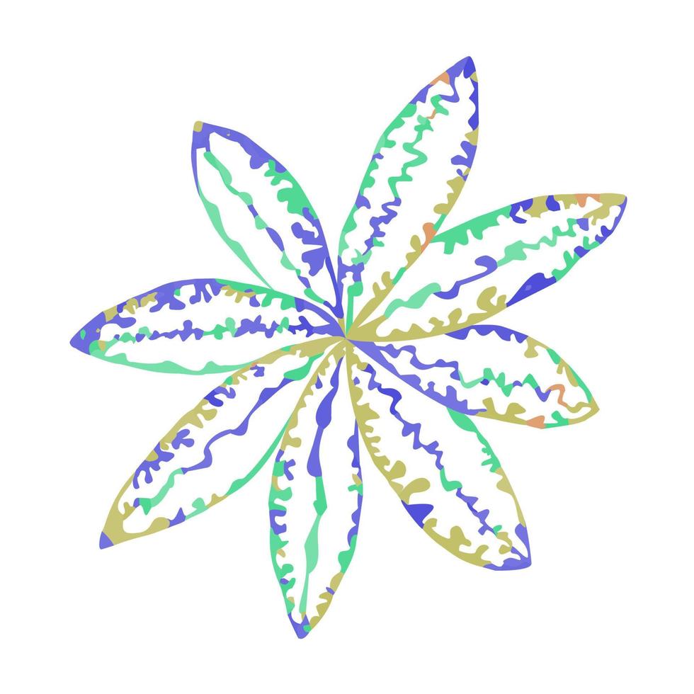 Vektor-bunte Illustration der Blume isoliert auf weißem Hintergrund vektor