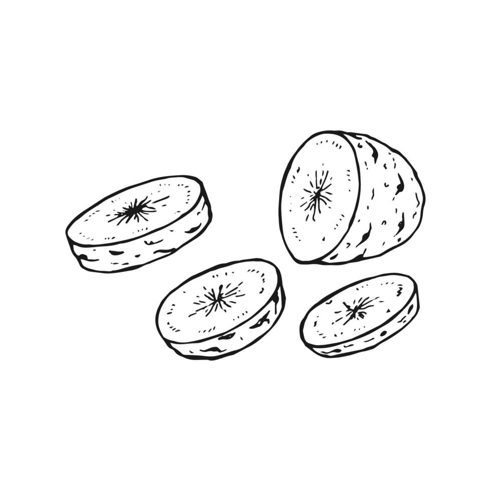 uppsättning av potatis översikt. hand dragen vektor illustration. bruka marknadsföra produkt, isolerat grönsak.