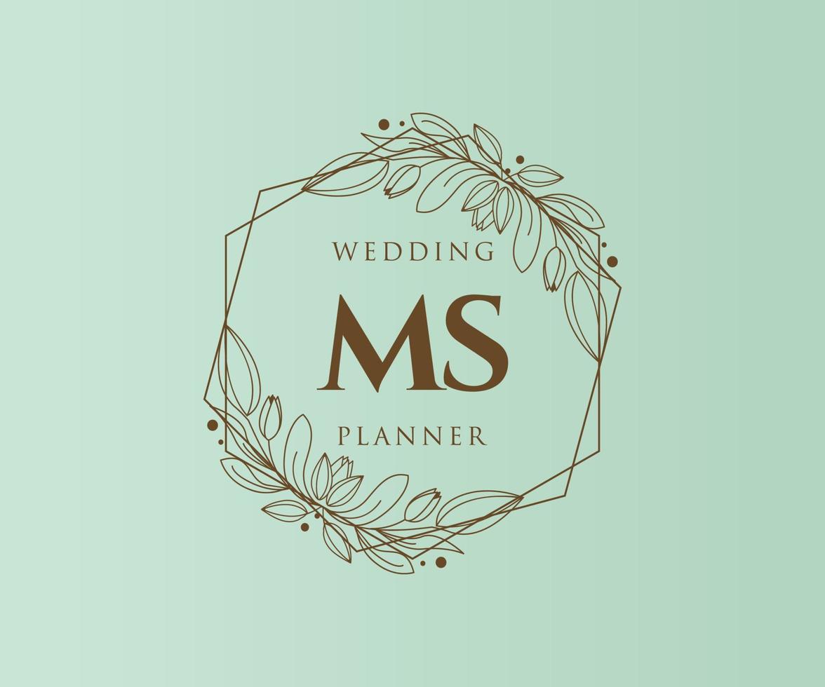 ms initialen brief hochzeitsmonogramm logos sammlung, handgezeichnete moderne minimalistische und florale vorlagen für einladungskarten, save the date, elegante identität für restaurant, boutique, café im vektor