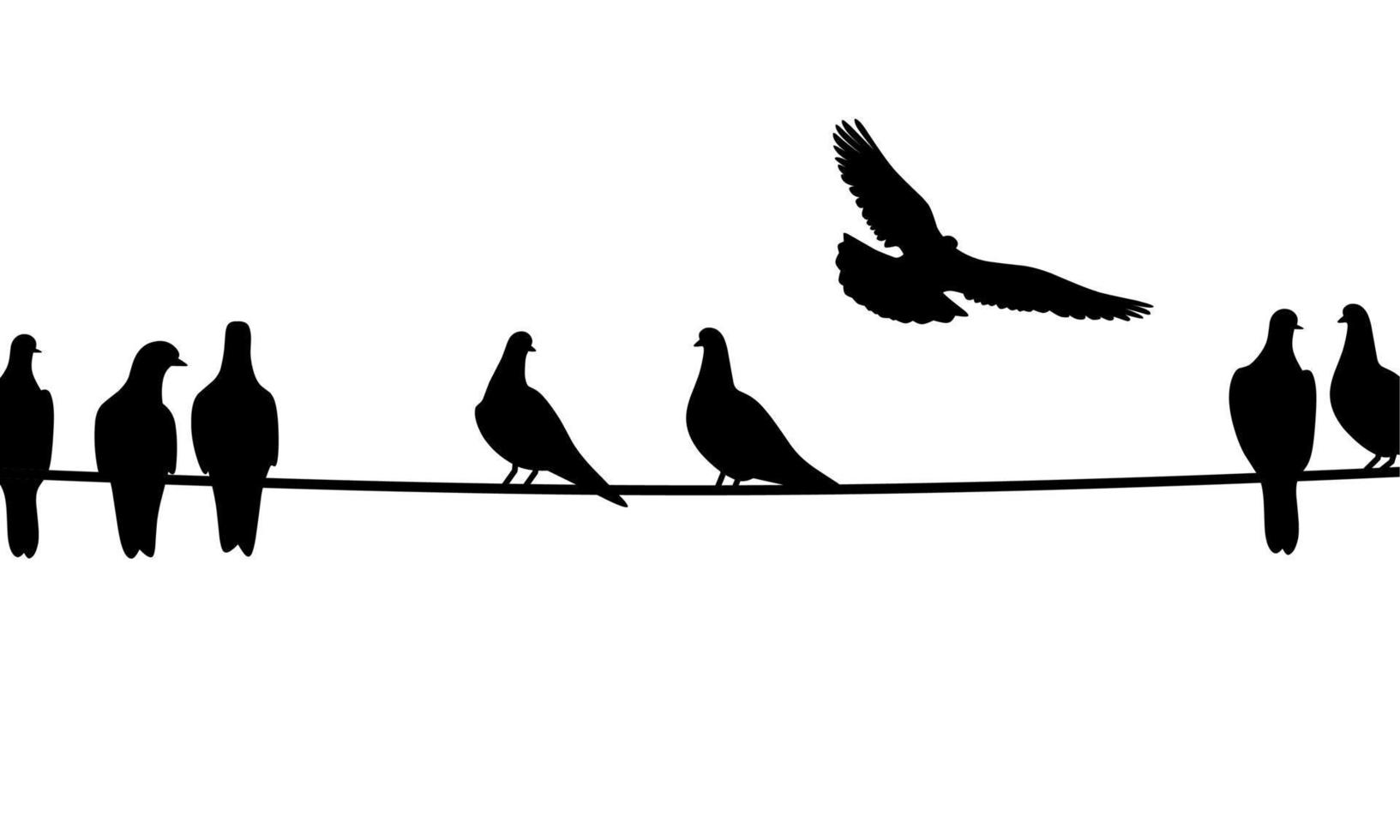 silhuett av en duva Sammanträde på en tråd på en vit bakgrund. en grupp av svart duvor uppflugen. vektor illustration