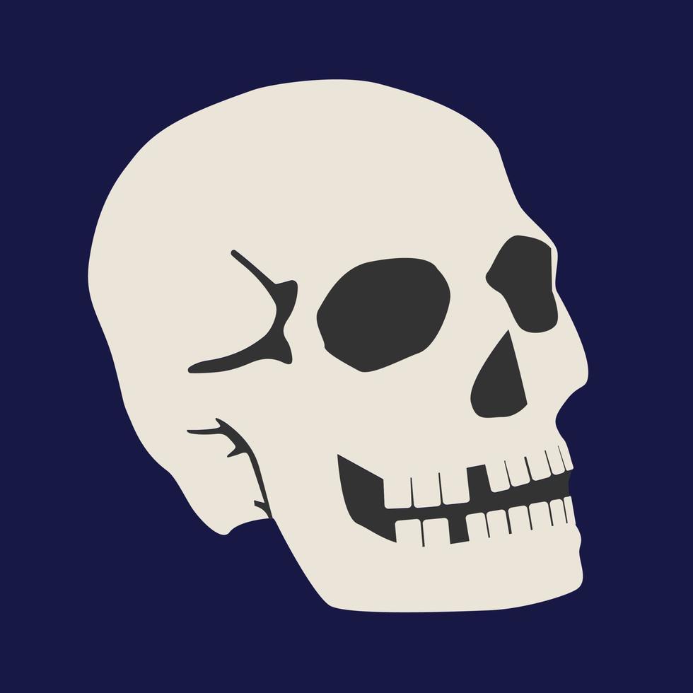 mänsklig skalle isolerat på mörk bakgrund. vektor halloween illustration.