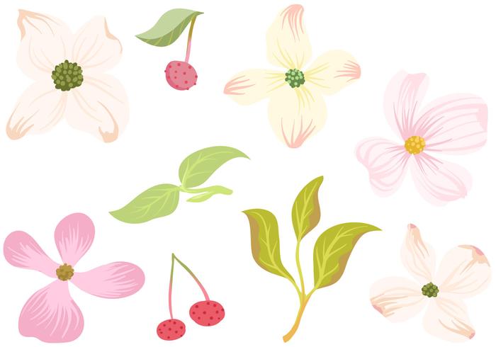 Gratis Dogwood Flowers Leaves Vectors