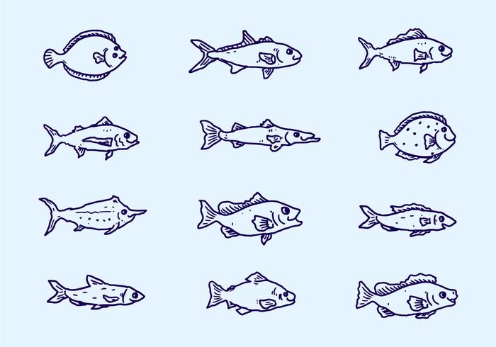 Sketch Fish Collection Vektor