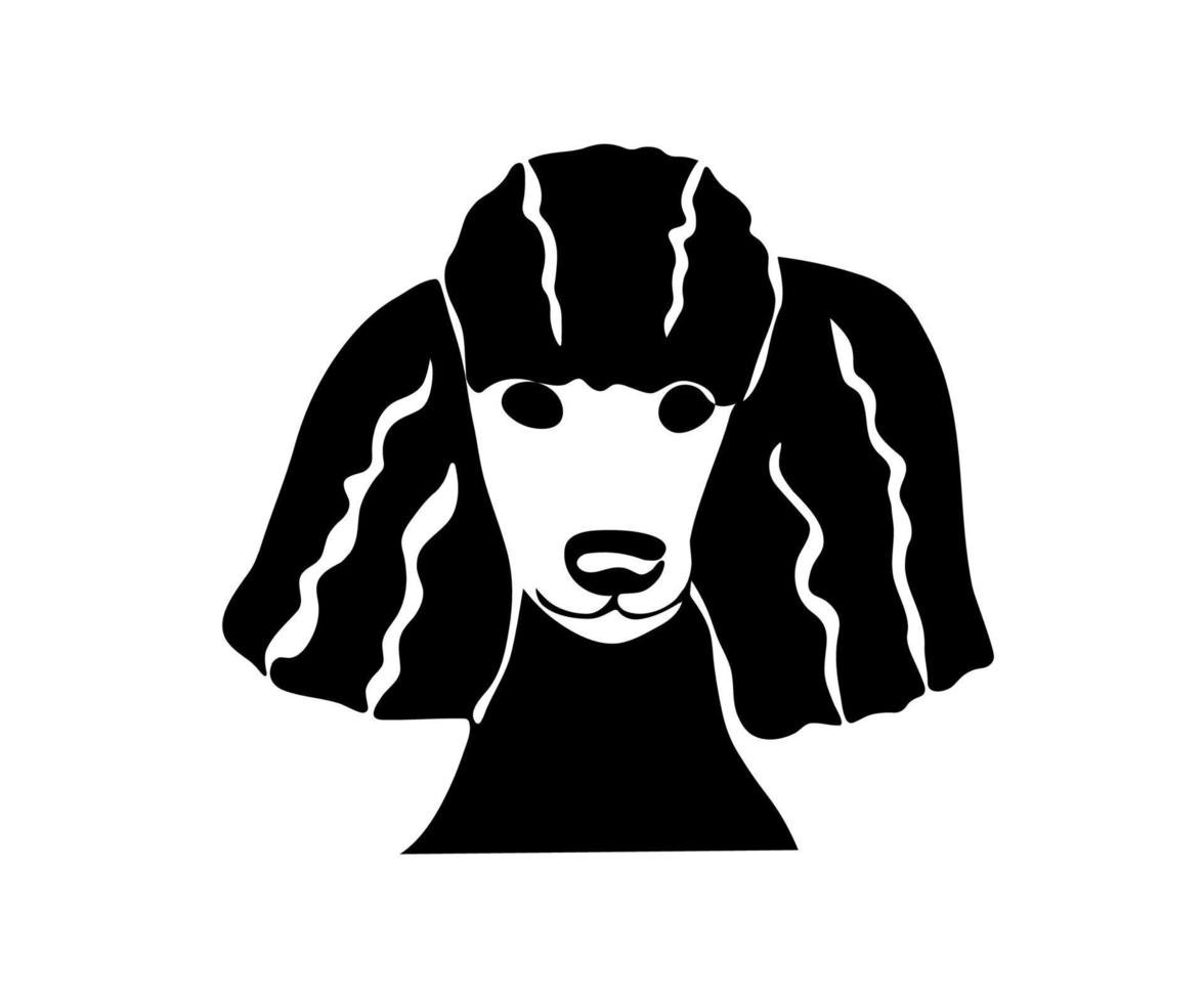 schwarz-weißer einfarbiger Pudelhundekopf. Tierhandlung-Logo vektor