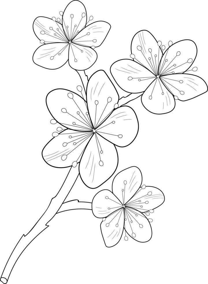 körsbär blomma ritad för hand skiss konst, vektor illustration, och blommig element av färg böcker för vuxna.