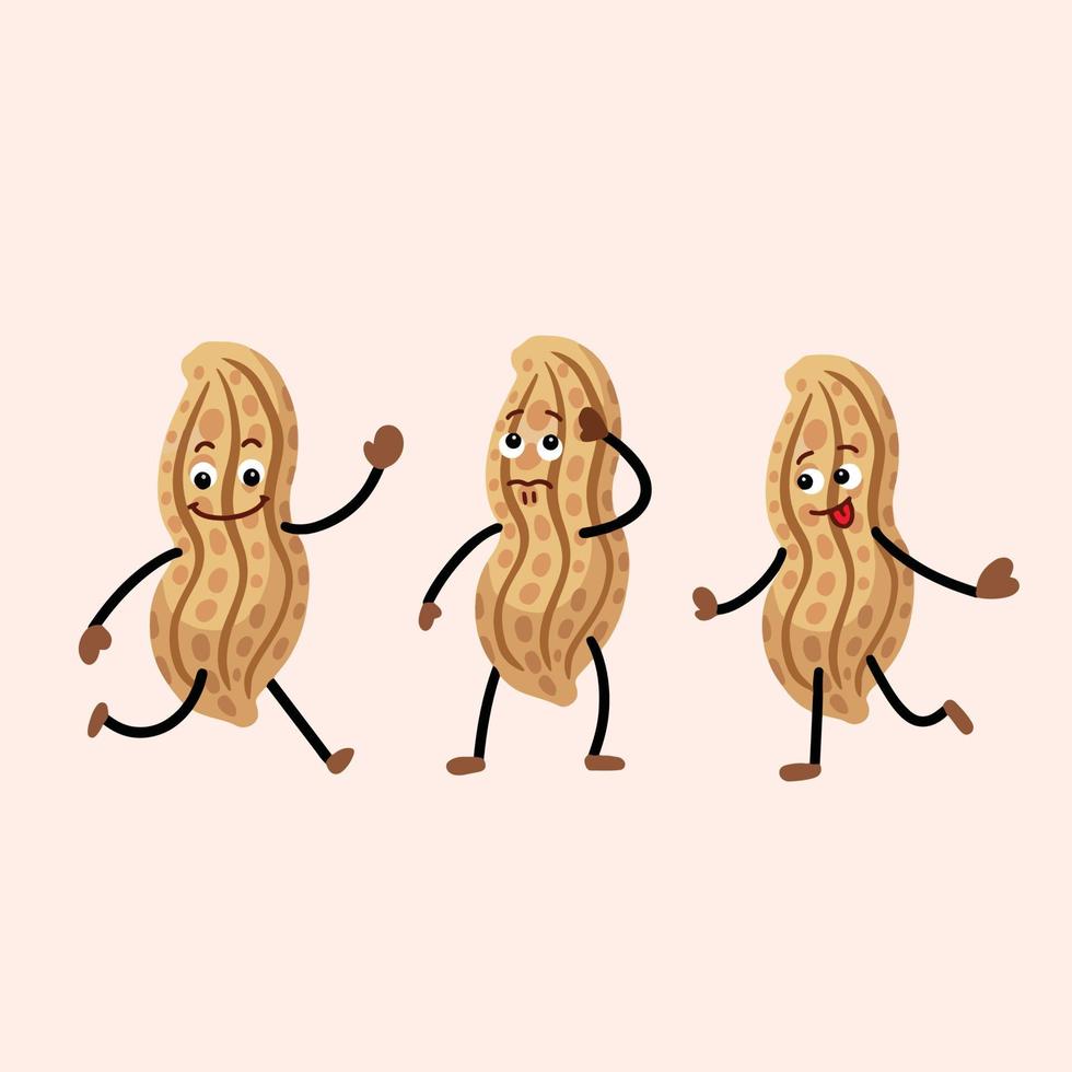 Erdnuss-Vektorfigur mit mehreren Trio-Gesichts- und Körperausdruck-Maskottchen. Lebensmittelillustration mit einfachem flachem Stil der lustigen Karikatur lokalisiert auf einfachem Hintergrund. vektor