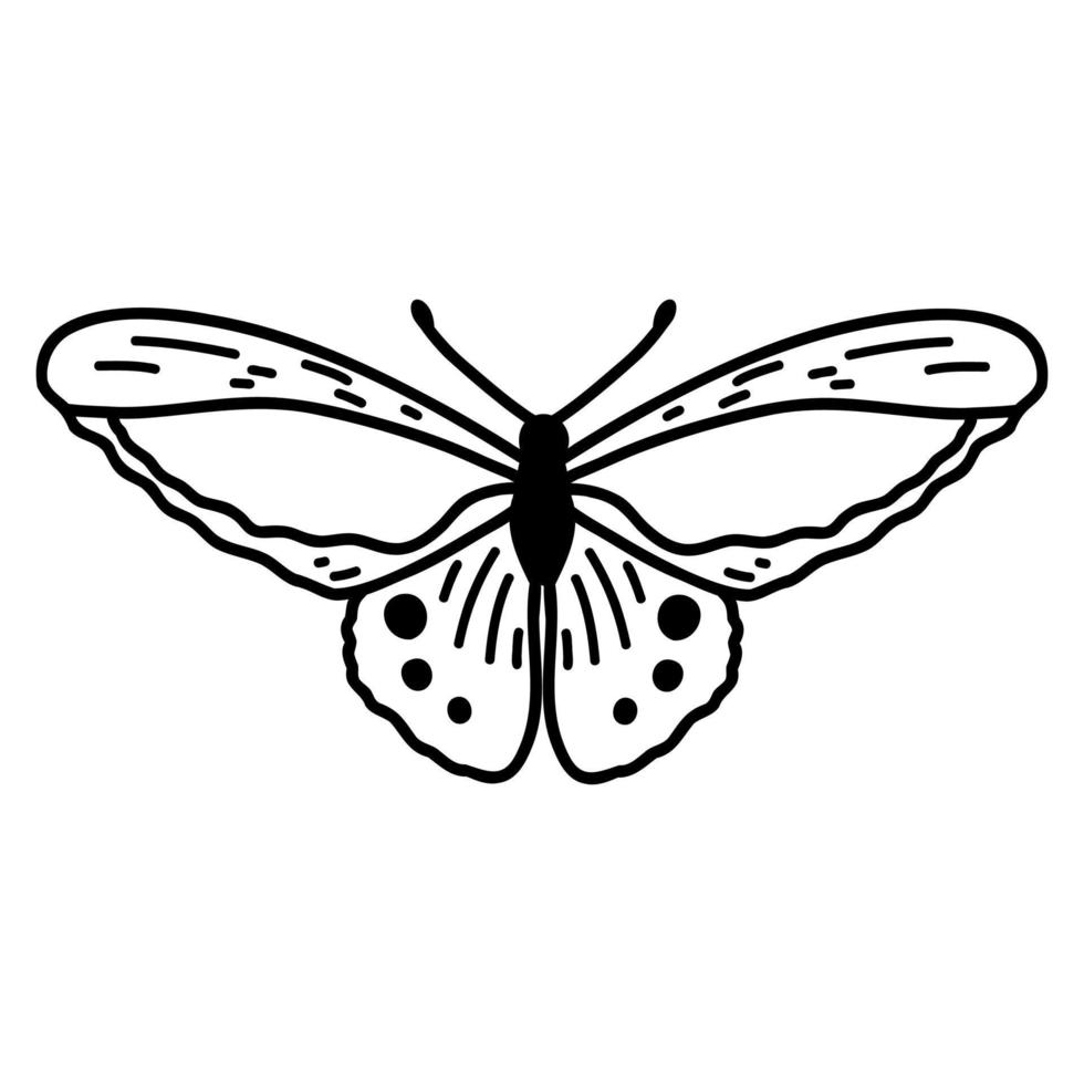 hand gezeichneter gekritzelschmetterling. Vektorskizzenillustration, schwarze Umrisskunst des Insekts für Webdesign, Symbol, Druck, Malseite vektor