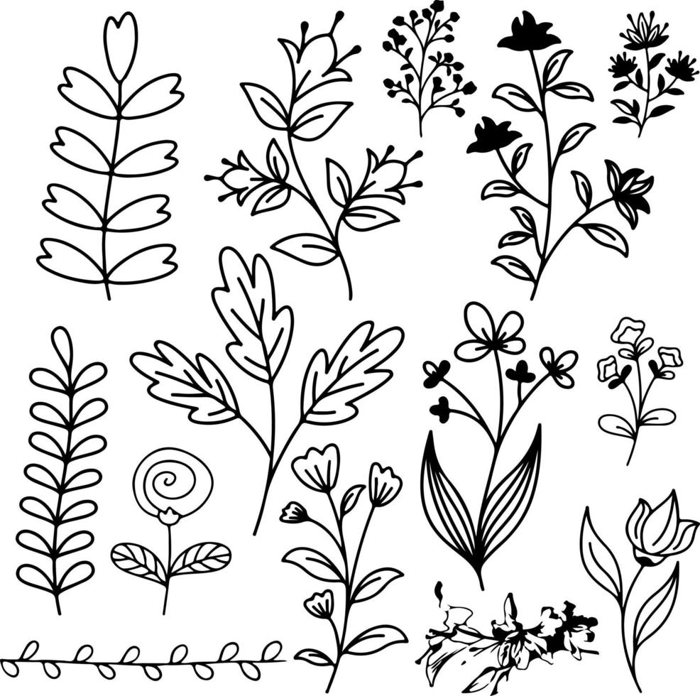 Blumen Kritzeleien Zeichnung Vektor-Design Umrissgrafik vektor
