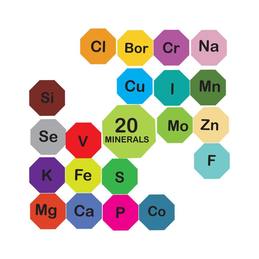 mineraler mikroelement och makro element, användbar för mänsklig hälsa. grundläggande av friska äter och friska livsstilar. vektor