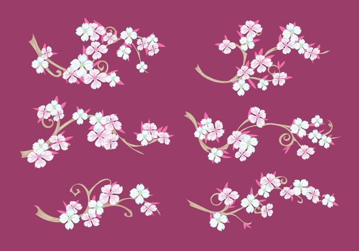 Set von Hartriegel Blumen auf Kastanienbraun Hintergrund vektor