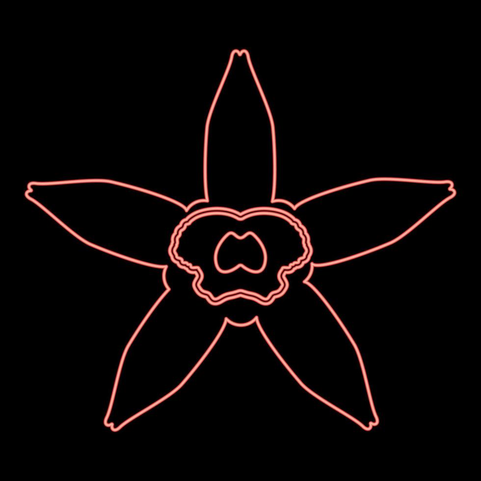 neon vanilj blomma röd Färg vektor illustration bild platt stil