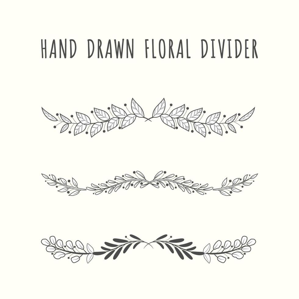 hand dragen blommig delare gränser samling med grenar och blomma vektor