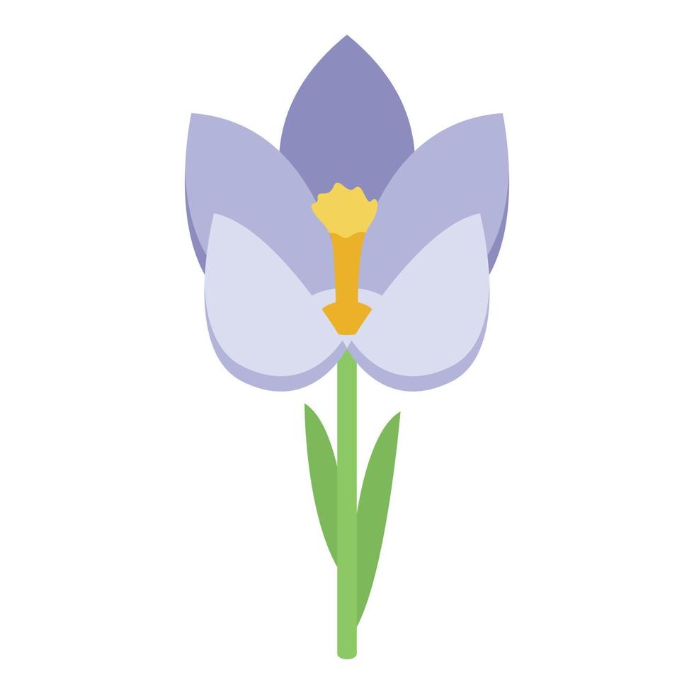 blomma krokus ikon, isometrisk stil vektor