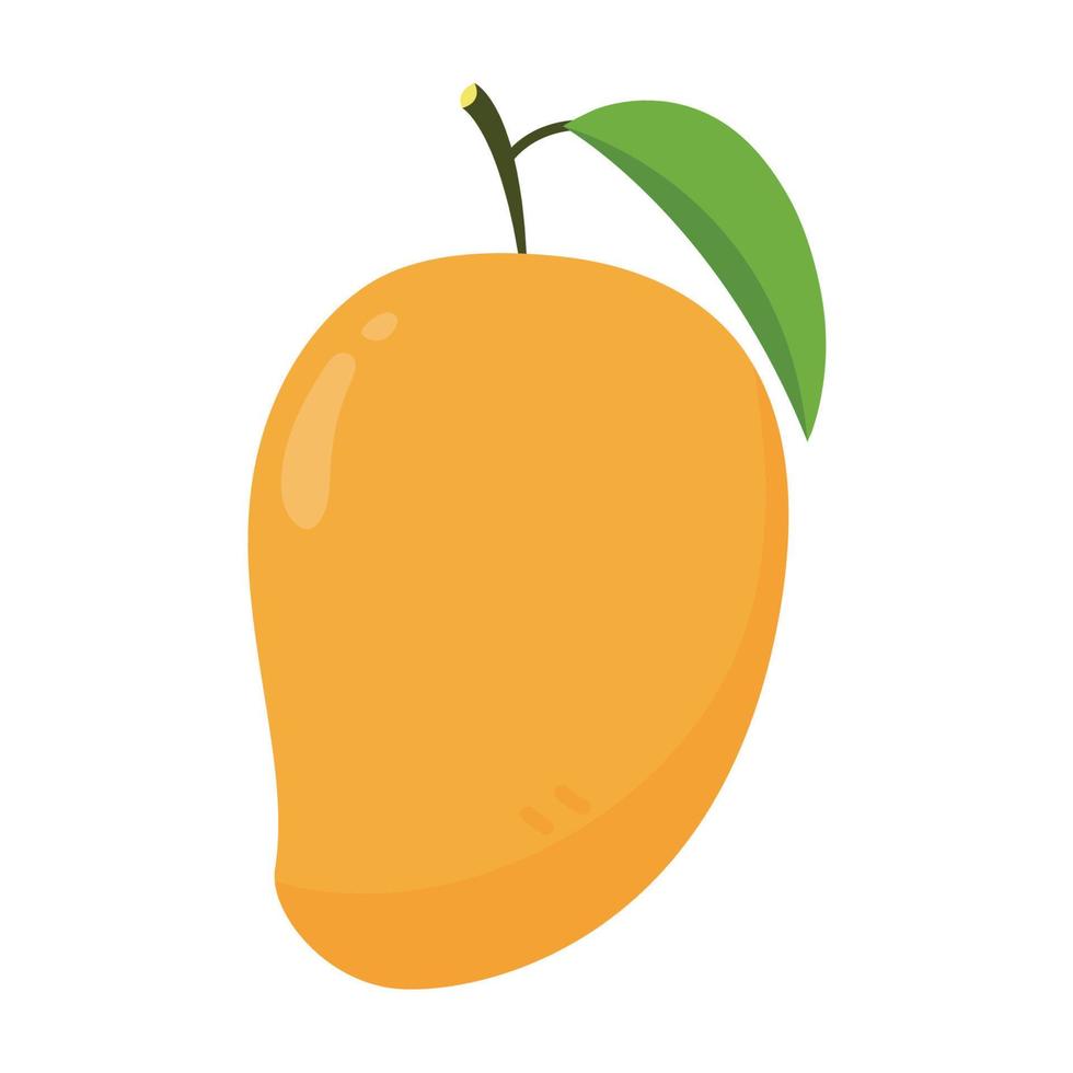 Mango-Vektor. Mango auf weißem Hintergrund. Logo Design. Mango-Cartoon-Vektor. Thailand-Nachtisch. vektor