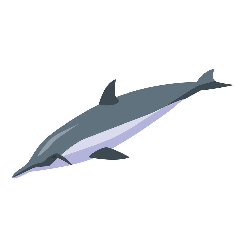 vatten- delfin ikon, isometrisk stil vektor