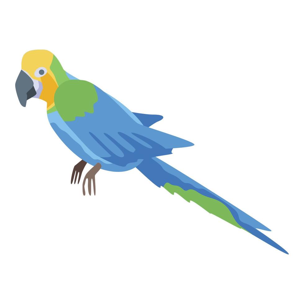 bunte Papagei-Ikone, isometrischer Stil vektor