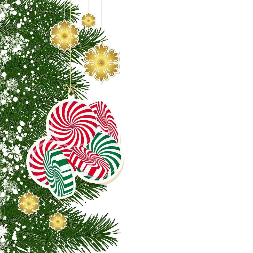 jul bakgrund med jul dekor och grön grenar av jul träd. vektor