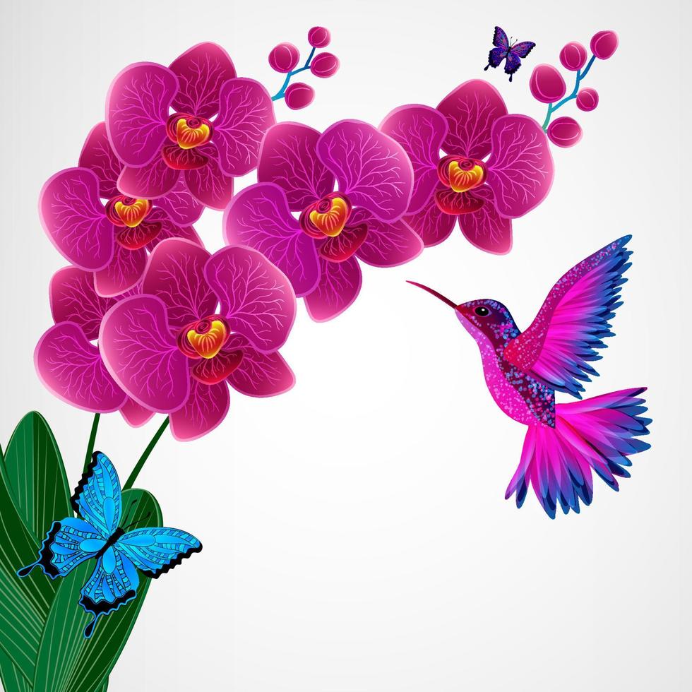 Blumenmuster-Hintergrund. Orchideenblüten mit Vogel, Schmetterlingen. vektor
