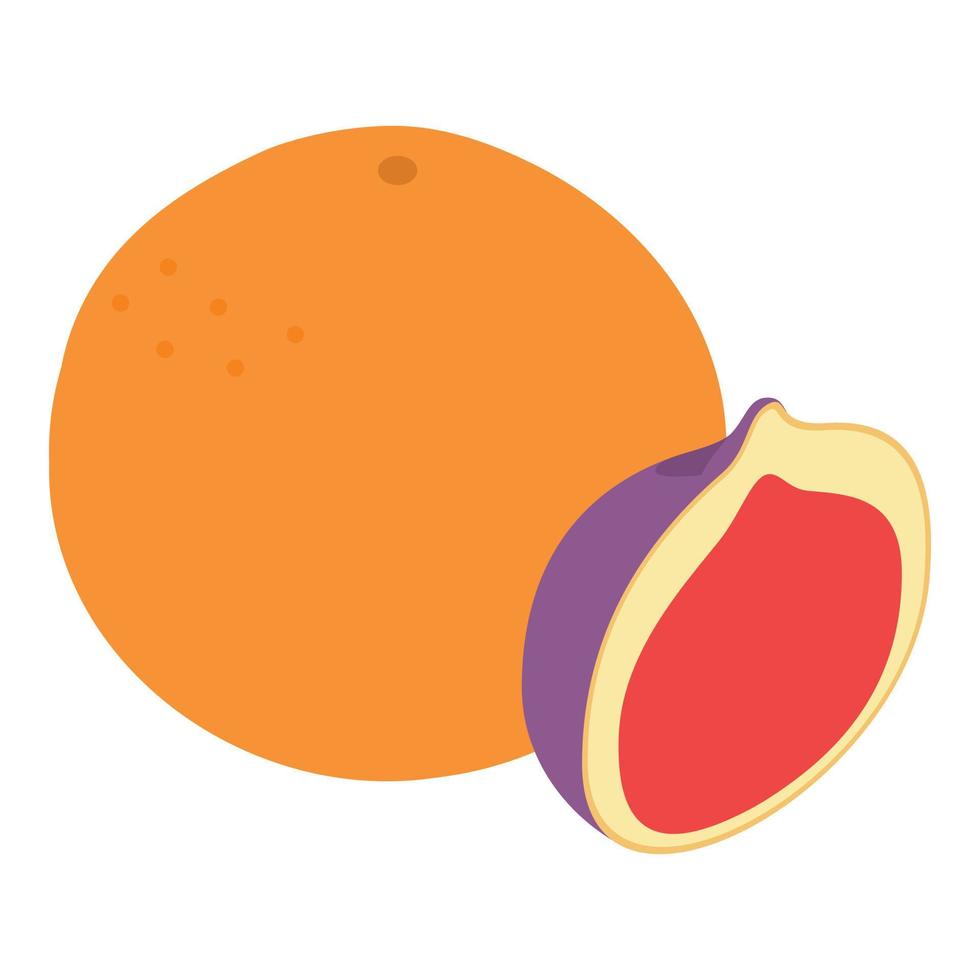 isometrischer vektor der exotischen fruchtikone. frische reife saftige Grapefruit und Feige