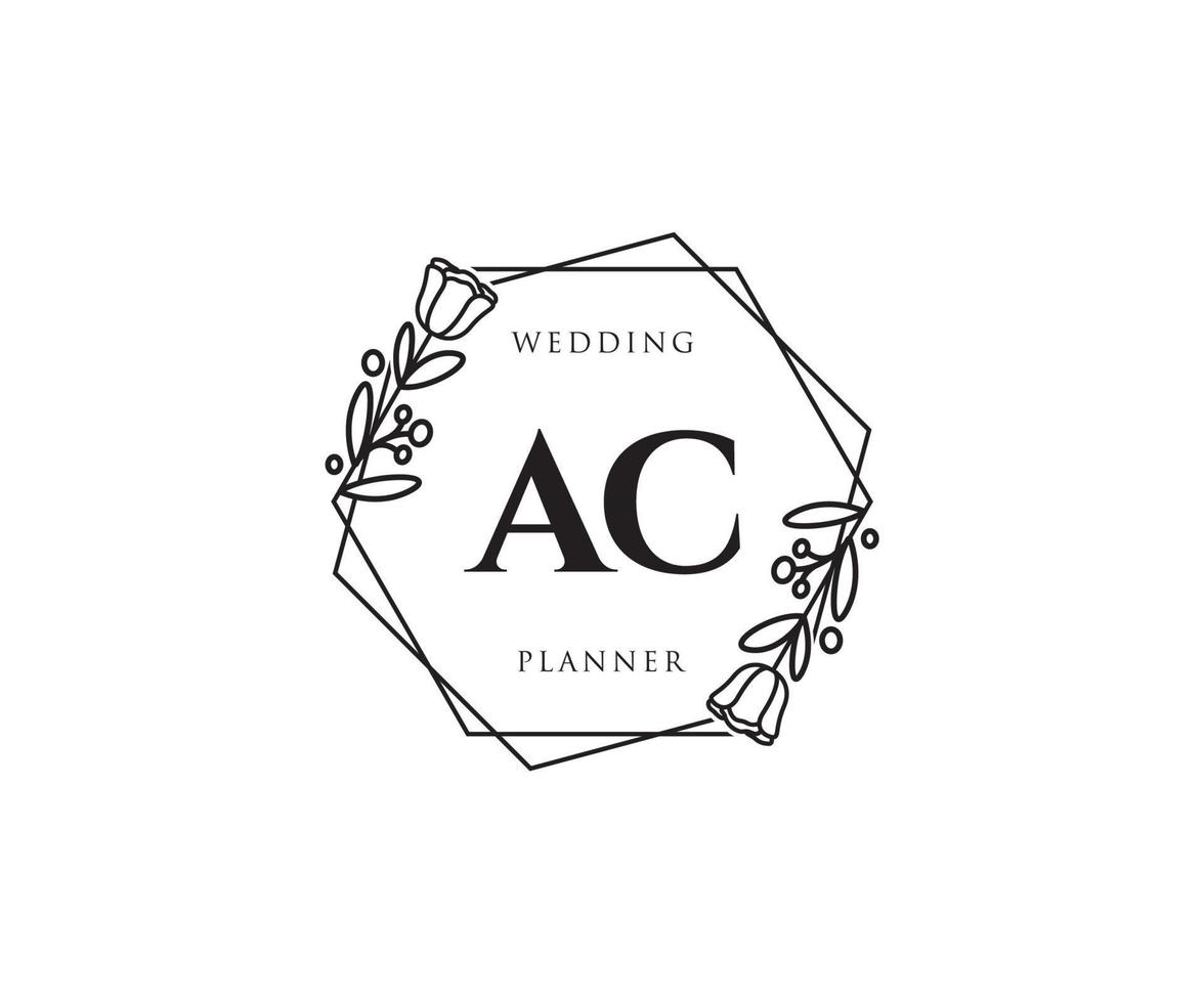 första ac feminin logotyp. användbar för natur, salong, spa, kosmetisk och skönhet logotyper. platt vektor logotyp design mall element.